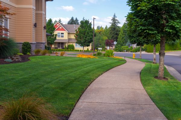 Cost of Sidewalk Patching in Endicott